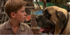 Beast from The Sandlot
