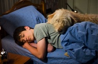 Diary of a Wimpy Kids Sweetie