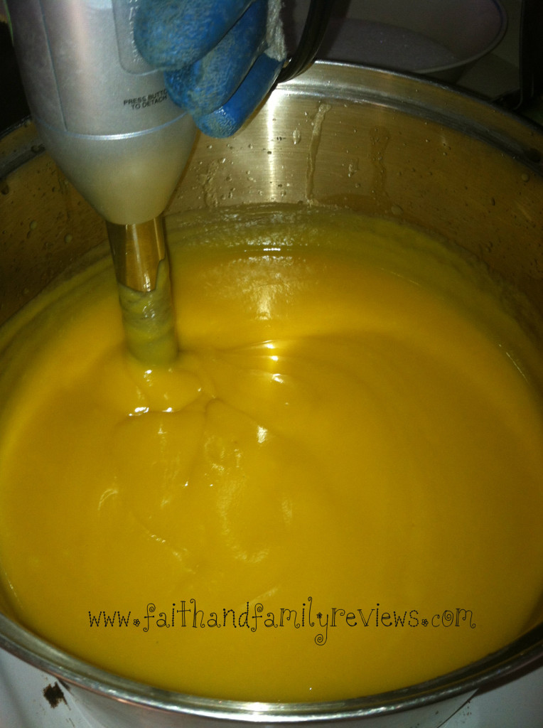 Goat Milk Soap Blender Stageedit