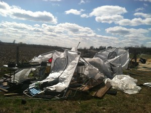 Greenhouse Disaster