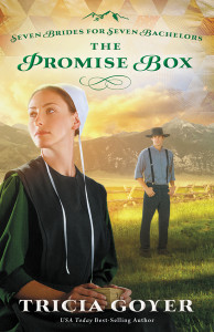 The Promise Box by Tricia Goyer
