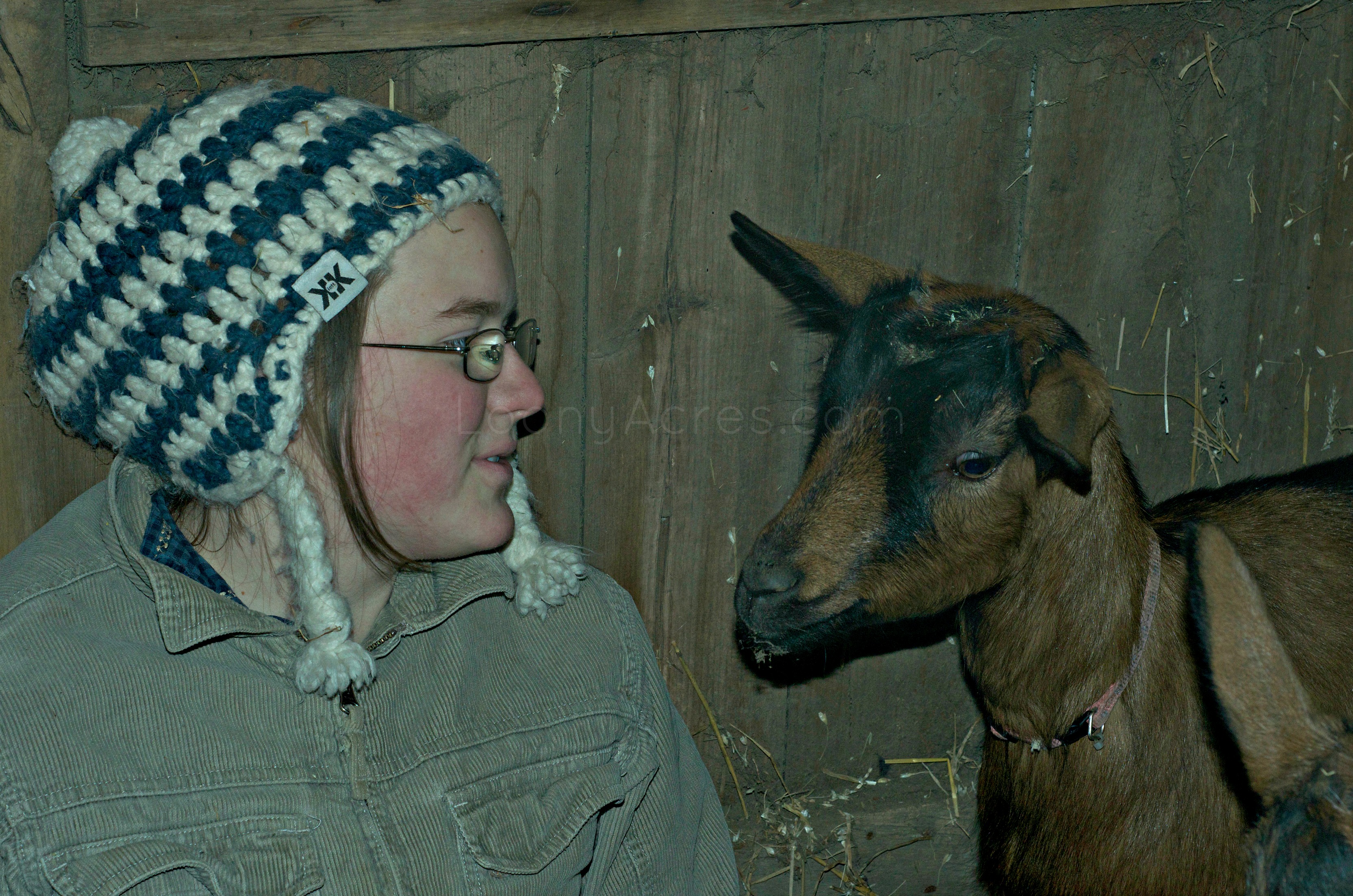 Loony Acres B and Hazel-2