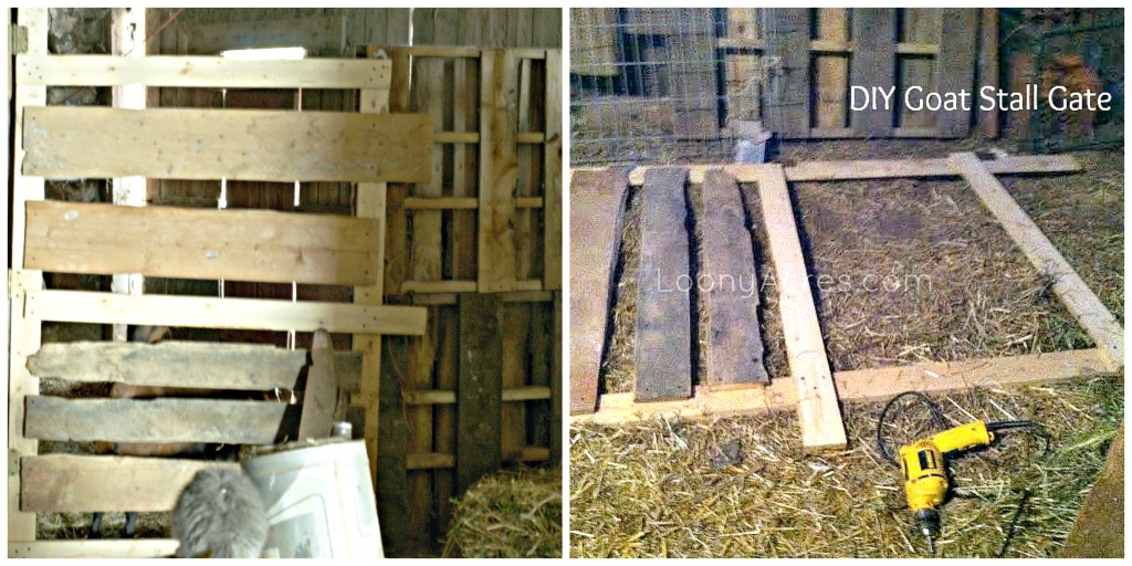 DIY Goat Stall Gate with Wood Pallets