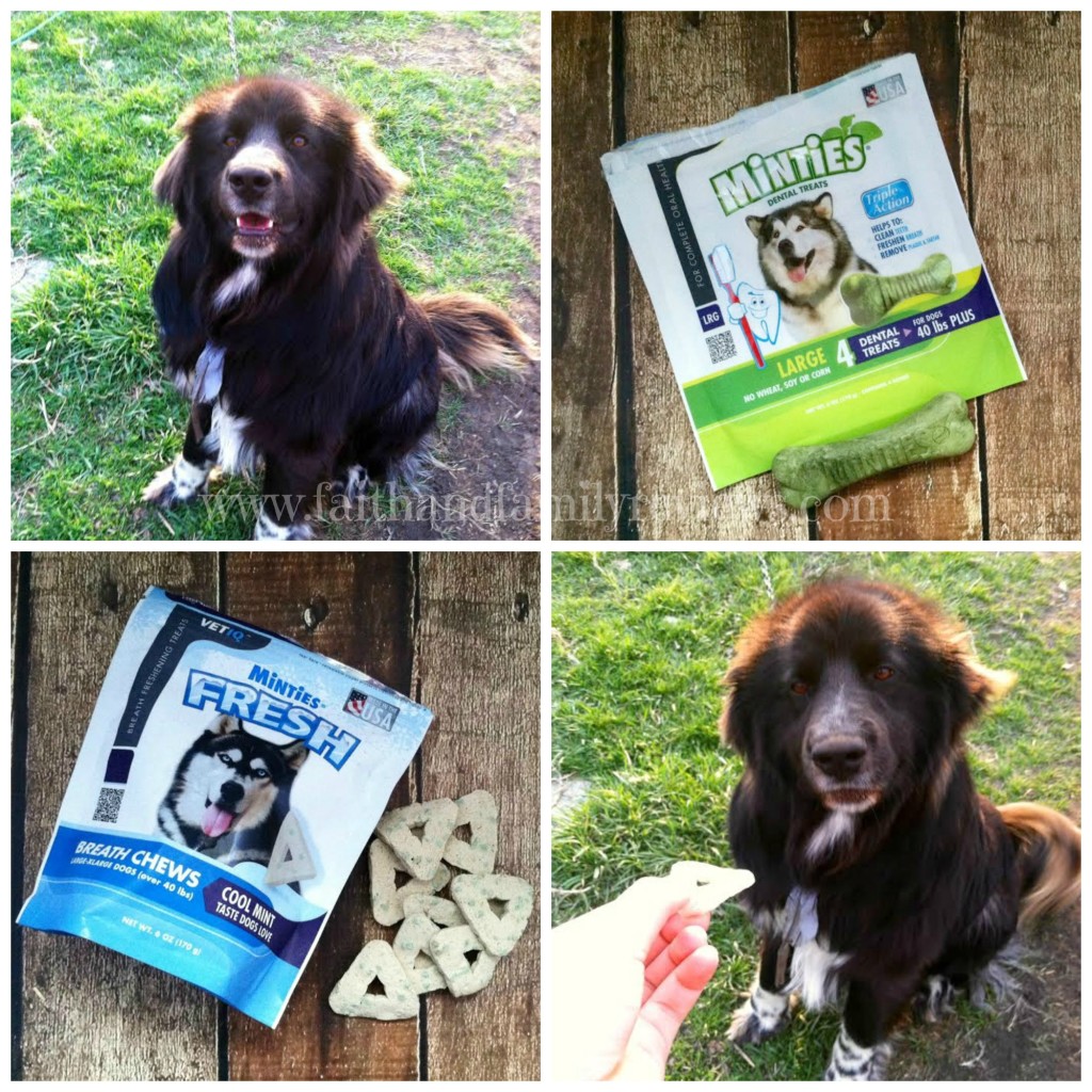 FFR Minties and Padfoot Collage