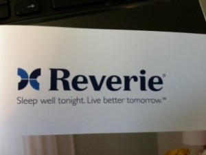 Reverie Pillow